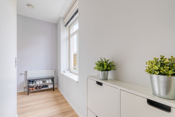 FREYJAPLANTSOEN 3-6.jpg